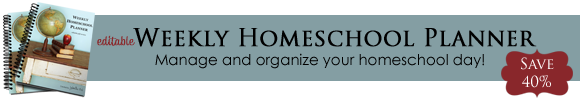 Homeschool Planner sale