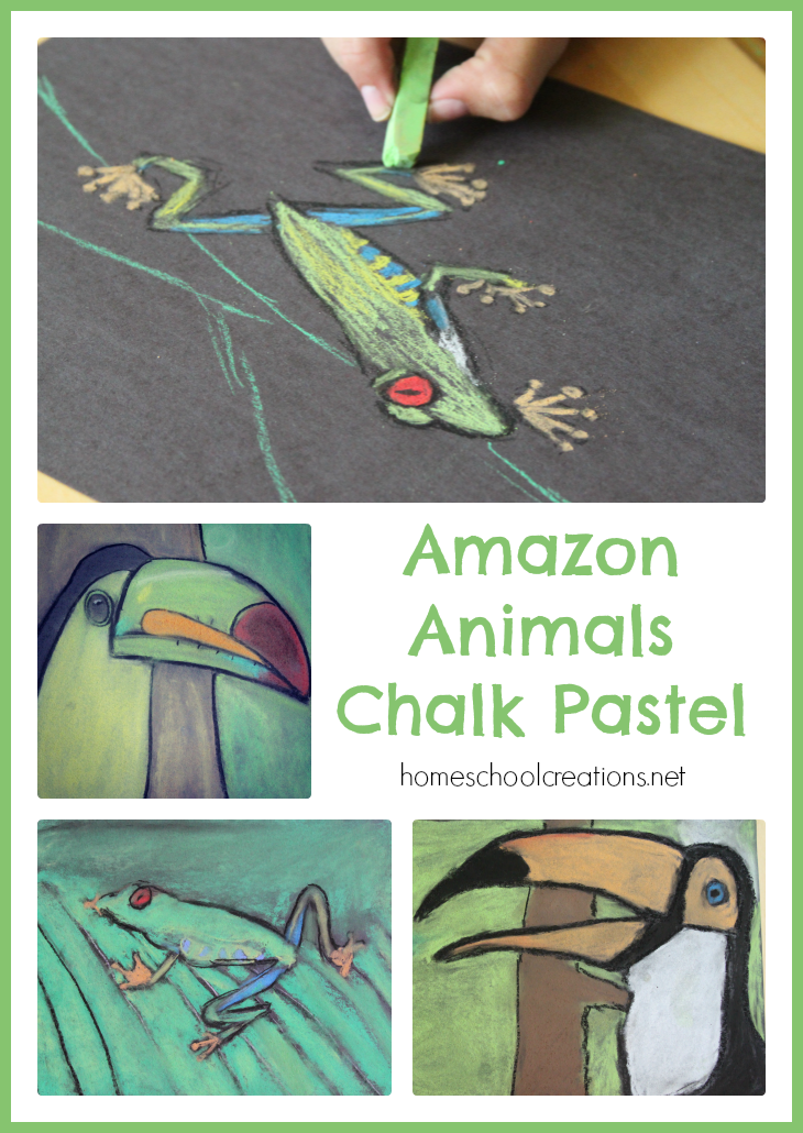 Amazon Animals Chalk Pastel