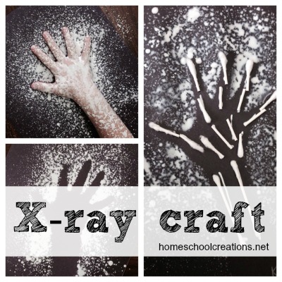 Xray craft for kids