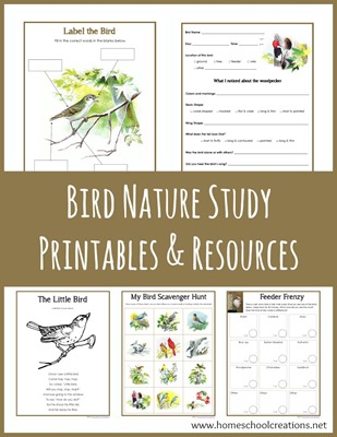 Bird Nature Study Printables from Homeschool Creations