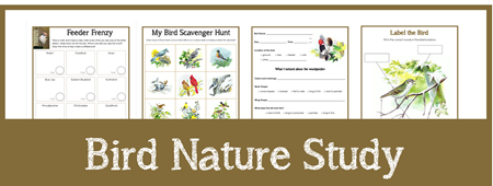 Bird Nature Study Printables sample
