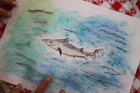 Shark Chalk Pastels art time-7