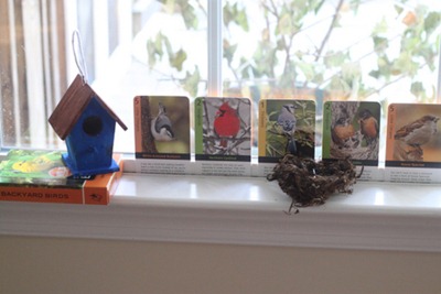 Backyard Birds Cards