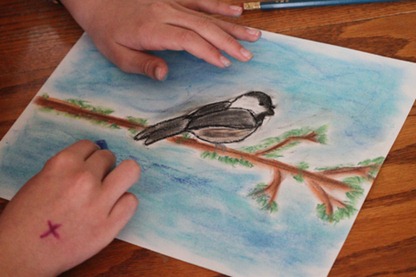 Birds pastels-9