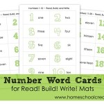 Vocabulary Number Word Cards
