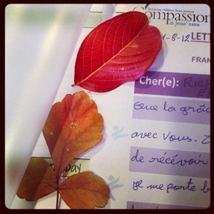 fall leaves for Compassion kids