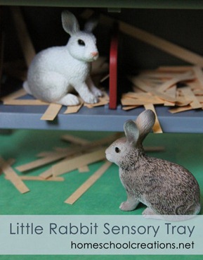 The Little Rabbit Sensory Bin