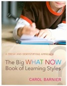 The Big What Now Book of Learning Styles