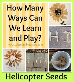 Lalymom Helicopter Seed Activities for kids