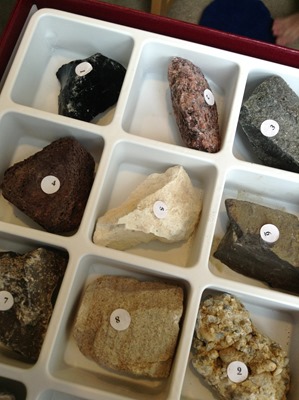 rocks from Nancy Larson science