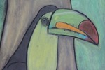 Amazon Animal Chalk Pastel-2