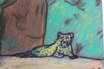 Amazon Animal Chalk Pastel-8