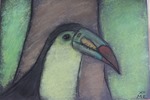 Amazon Animal Chalk Pastel