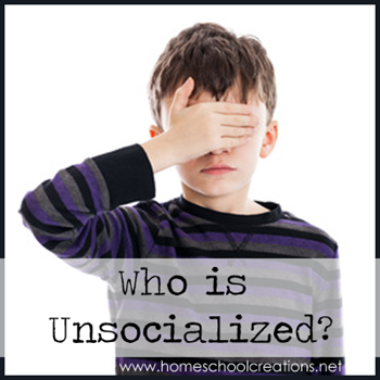 Homeschool Socialization