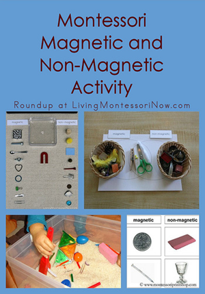 Homeschool Preschool: Magetic and Non-magnetic activities
