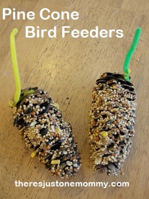 bird-feeder-2