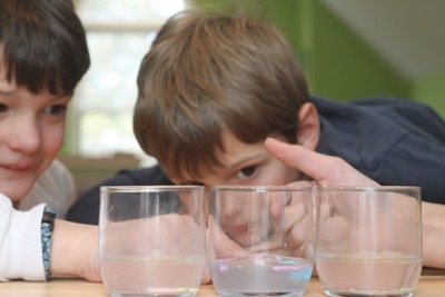 Candy Science Experiment from homeschoolcreations.net-31