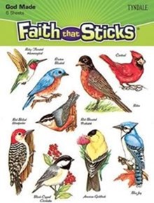 Birds Chart For Kindergarten