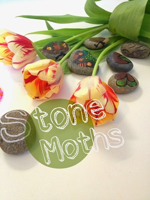 stone moths1