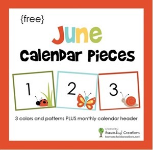 June-pocket-chart-calendar-pieces-from-homeschoolcreations.net_