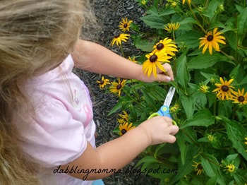 Cutting flowers july 2014 pm