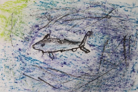 Shark Chalk Pastels art time-12