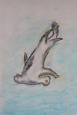 Shark Chalk Pastels art time-17