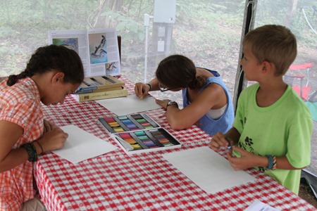 Shark Chalk Pastels art time-2