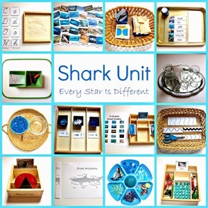 Shark Unit 2