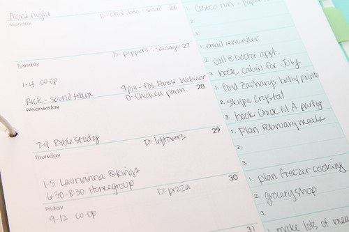 Daily Planning Pages printable - free download for February. Also link to the FULL 2015 Daily Planner - get organized this year.