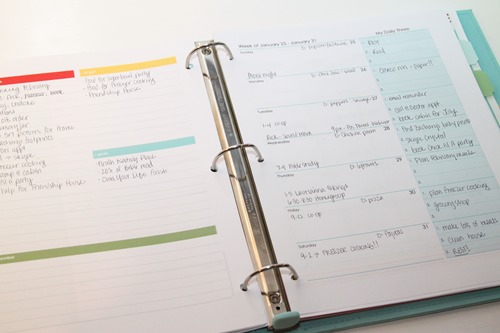 Daily Planning Pages printable - free download for February. Also link to the FULL 2015 Daily Planner - get organized this year.