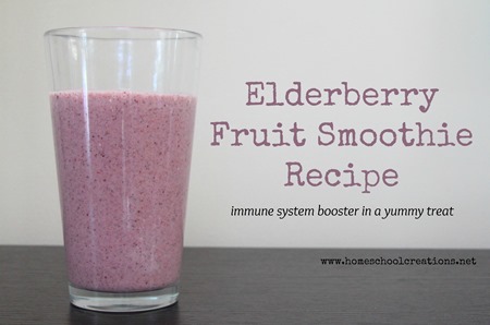 Elderberry Fruit Smoothie recipe