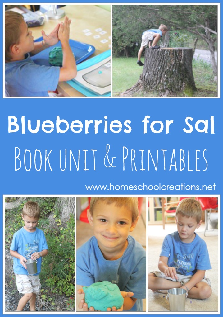 Blueberries for Sal Unit Preschool Corner
