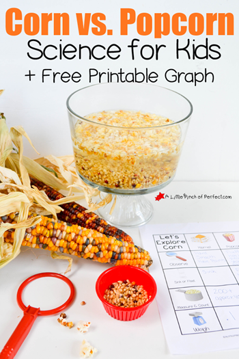 Corn and Popcorn Science Activity A Little Pinch of Perfect 7 copy