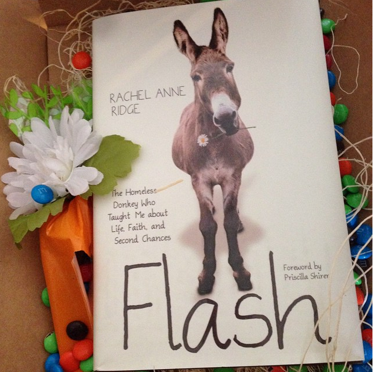 Flash the Donkey