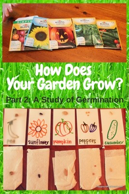 How-Does-Your-Garden-Grow_