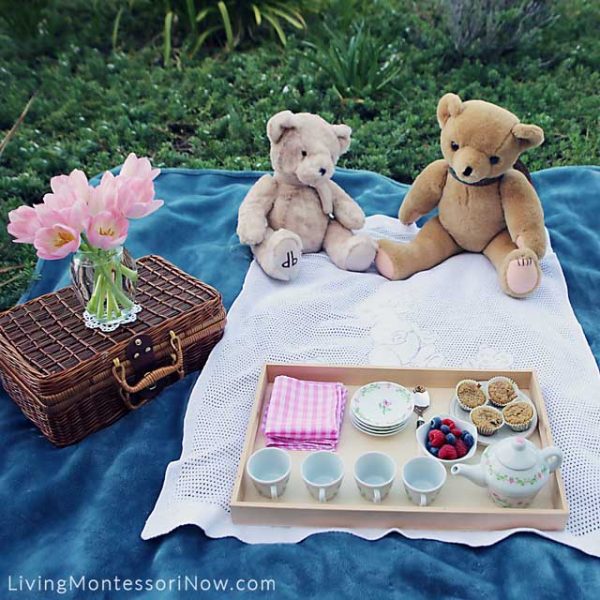 Items-Used-for-a-Healthy-and-Courteous-Teddy-Bear-Picnic