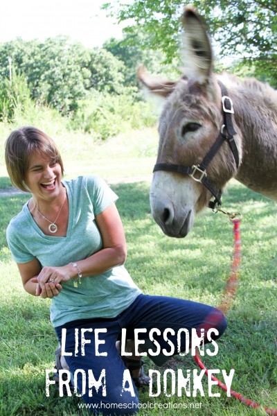 Life Lessons from Flash the Donkey