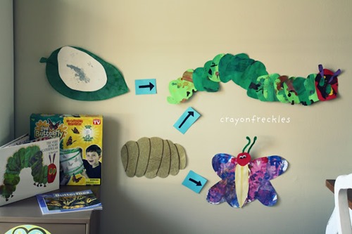 Life cycle of very hungry caterpillar