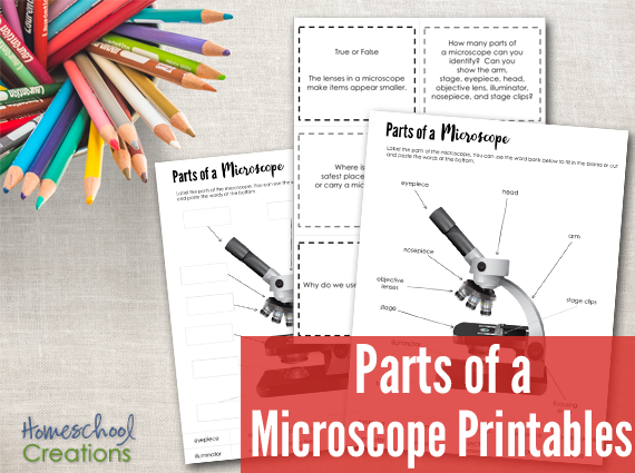 Parts of a Microscope Printables text with image examples of pages