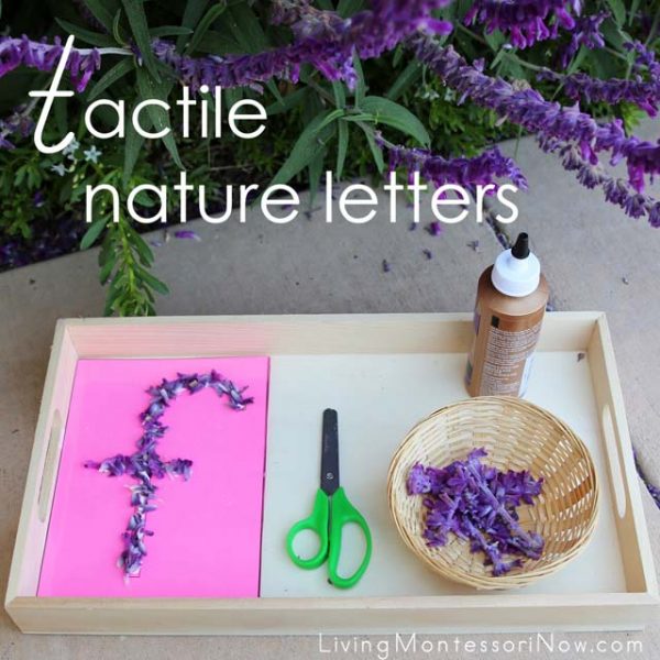 Tactile-Nature-Letters