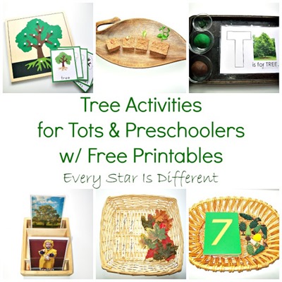 Tree Activities for Tots & Preschoolers w Free Printables