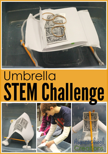 Umbrella STEM Challenge - create a shelter to keep a tissue dry