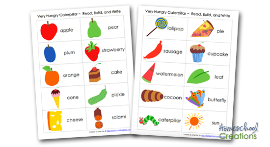 vocabulary cards for The Very Hungry Caterpillar by Eric Carle