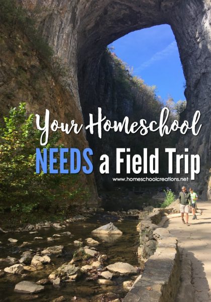 your-homeschool-needs-a-field-trip