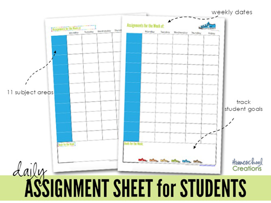 assignment ideas for students