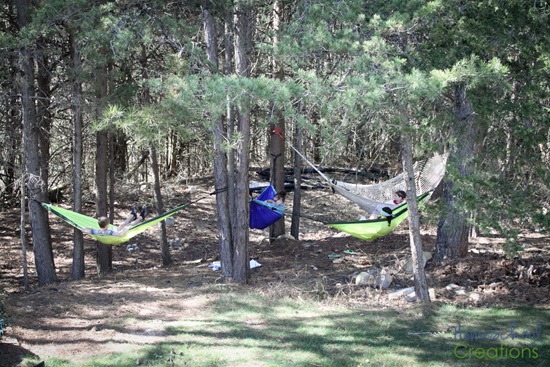 backyard hammock