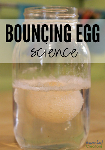 bouncing egg science experiment from Homeschool Creations