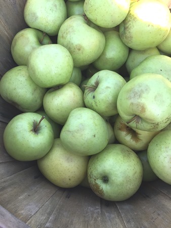 bushel of apples