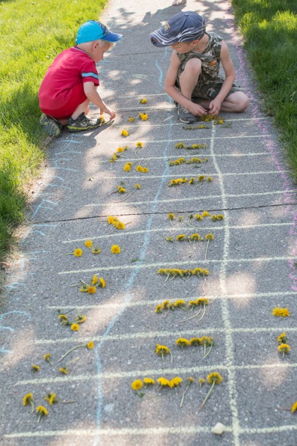 dandelion-counting-20150503-15-433x650